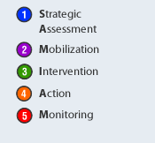 Strategic Assessment, Mobilization, Intervention, Action, Monitoring.